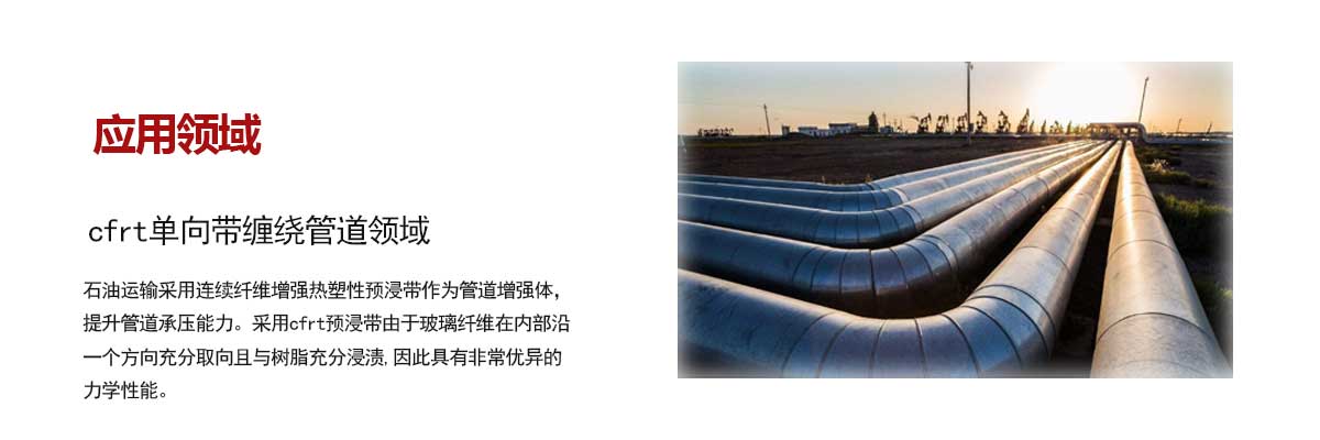 石油管道(dào)領域